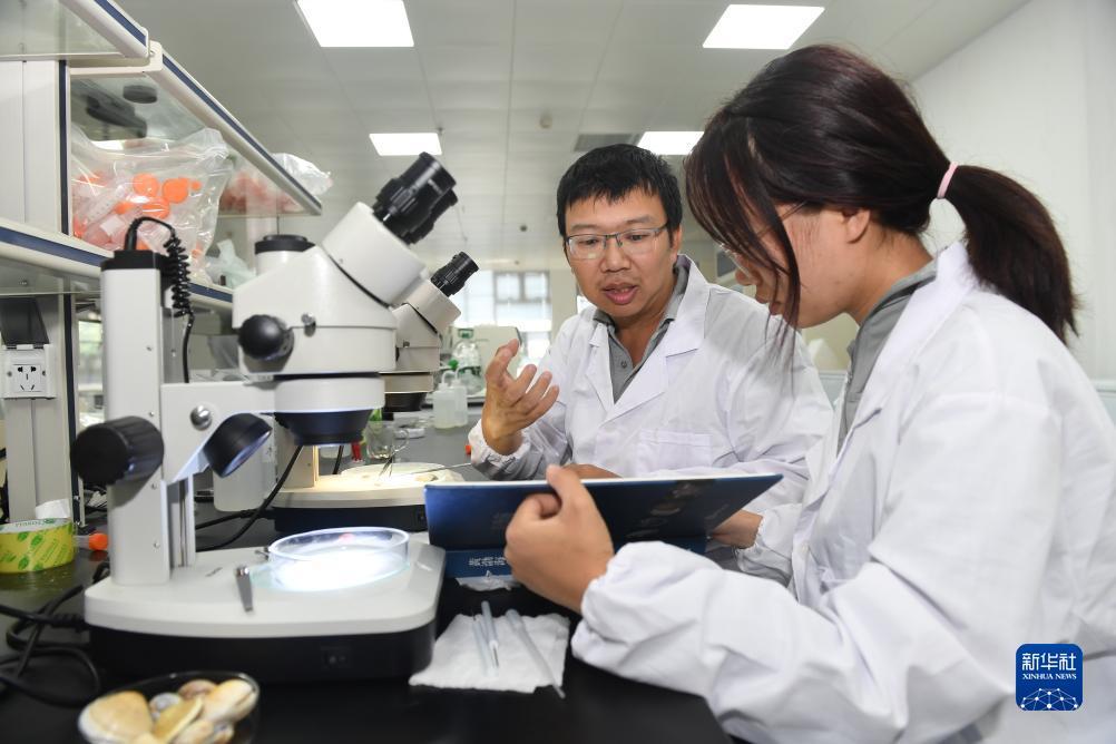 斗牛完整版下载